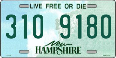 NH license plate 3109180