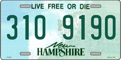 NH license plate 3109190