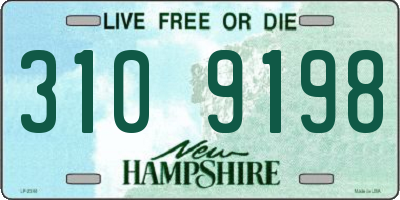 NH license plate 3109198