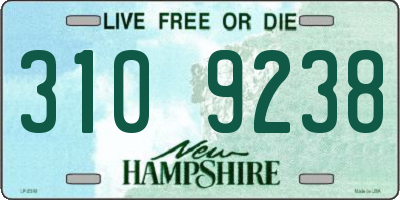 NH license plate 3109238