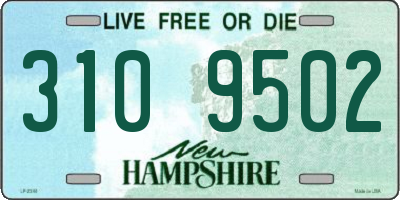 NH license plate 3109502