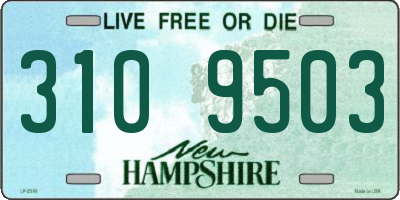 NH license plate 3109503