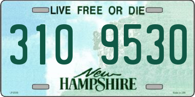 NH license plate 3109530