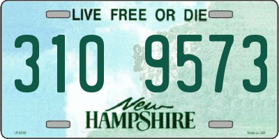 NH license plate 3109573