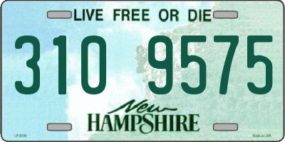 NH license plate 3109575