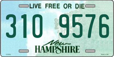 NH license plate 3109576