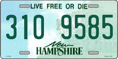 NH license plate 3109585