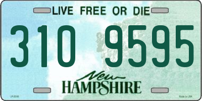 NH license plate 3109595