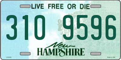 NH license plate 3109596
