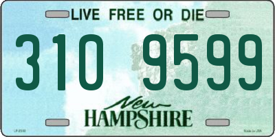 NH license plate 3109599