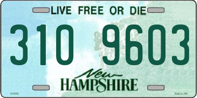 NH license plate 3109603
