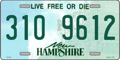 NH license plate 3109612