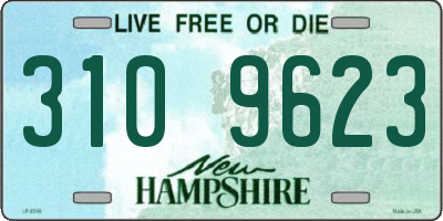 NH license plate 3109623