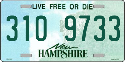 NH license plate 3109733