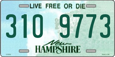 NH license plate 3109773