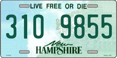 NH license plate 3109855