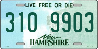 NH license plate 3109903