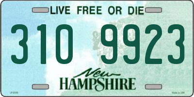 NH license plate 3109923