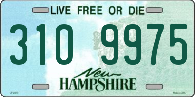 NH license plate 3109975