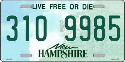 NH license plate 3109985