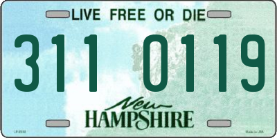 NH license plate 3110119