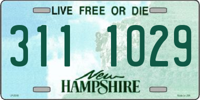 NH license plate 3111029