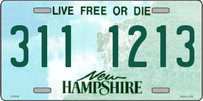 NH license plate 3111213