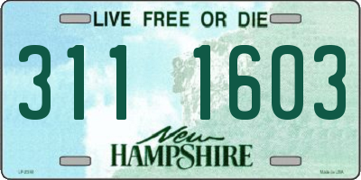 NH license plate 3111603