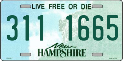 NH license plate 3111665