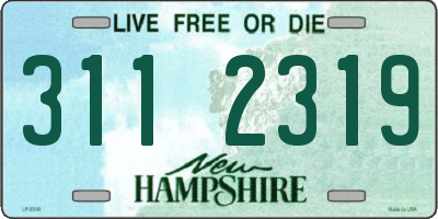 NH license plate 3112319