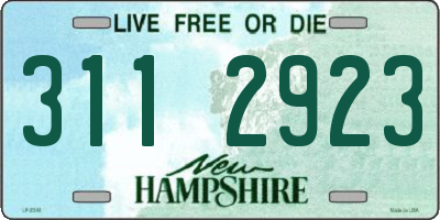 NH license plate 3112923