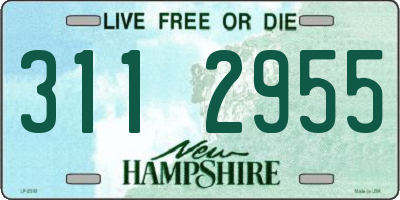 NH license plate 3112955