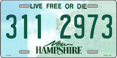 NH license plate 3112973