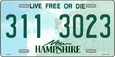 NH license plate 3113023