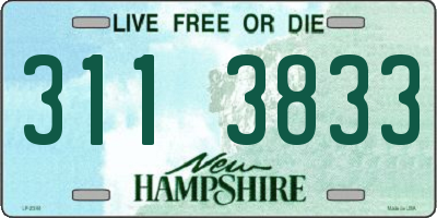 NH license plate 3113833