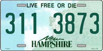 NH license plate 3113873