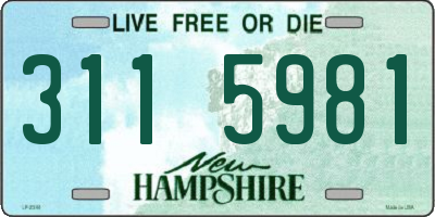 NH license plate 3115981