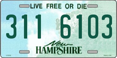 NH license plate 3116103