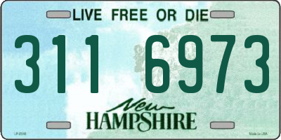 NH license plate 3116973