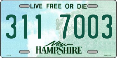 NH license plate 3117003