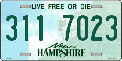 NH license plate 3117023
