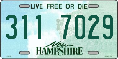 NH license plate 3117029