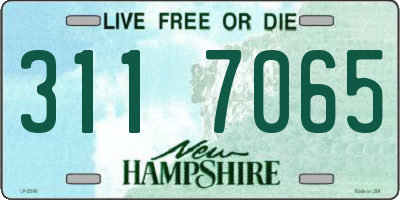 NH license plate 3117065