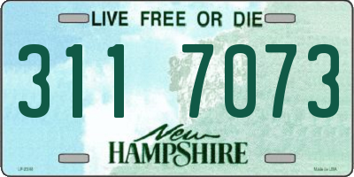 NH license plate 3117073