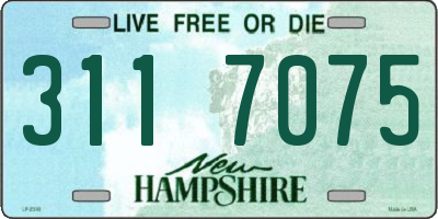NH license plate 3117075