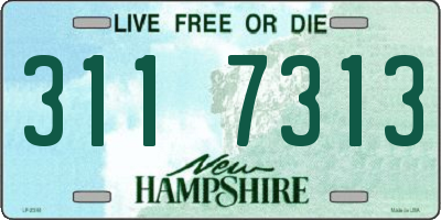 NH license plate 3117313