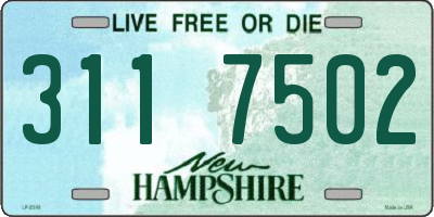 NH license plate 3117502