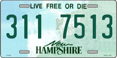 NH license plate 3117513