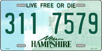 NH license plate 3117579
