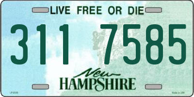 NH license plate 3117585